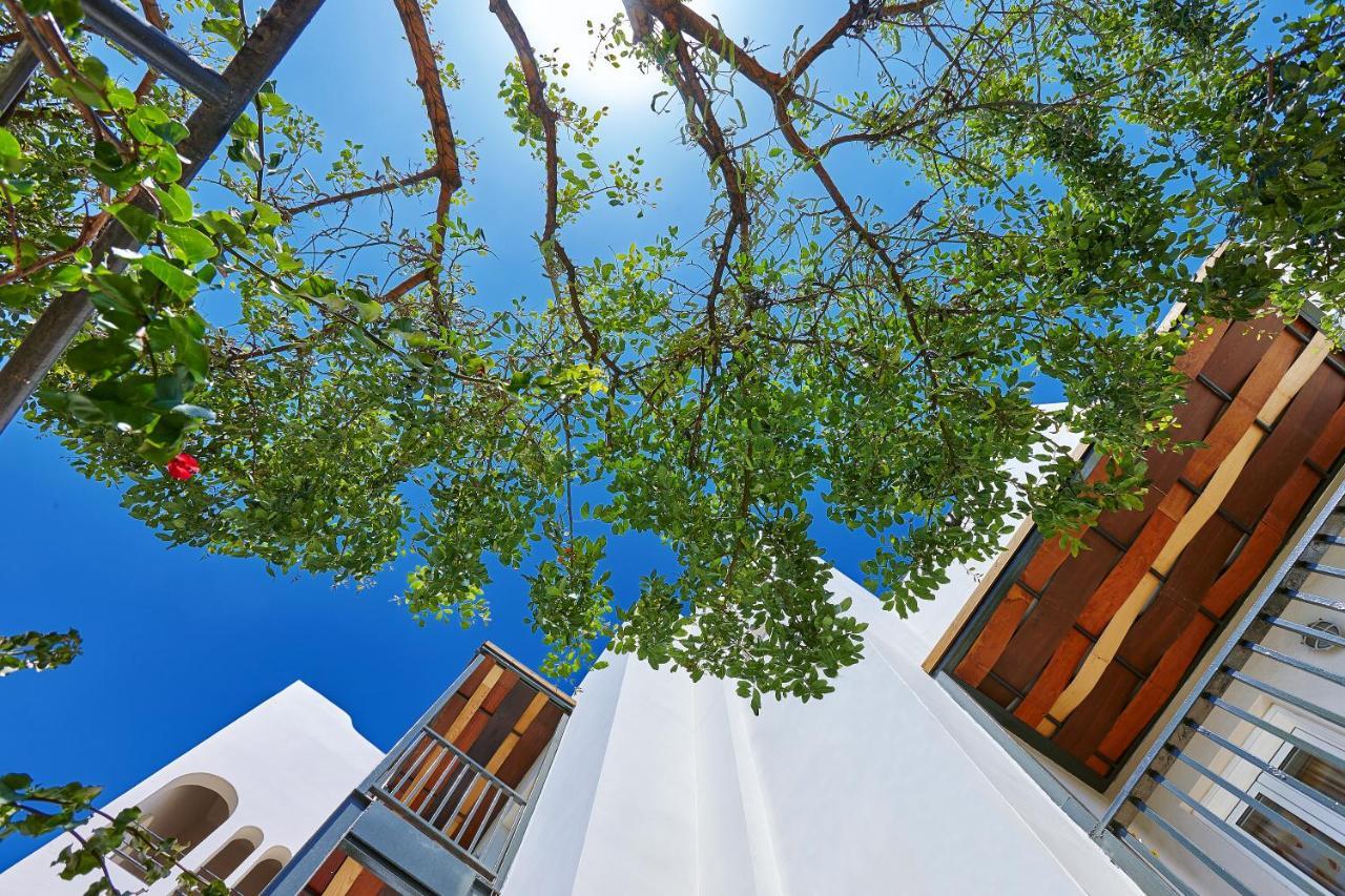 Arminda Hotel&Spa Hersonissos  Exterior foto